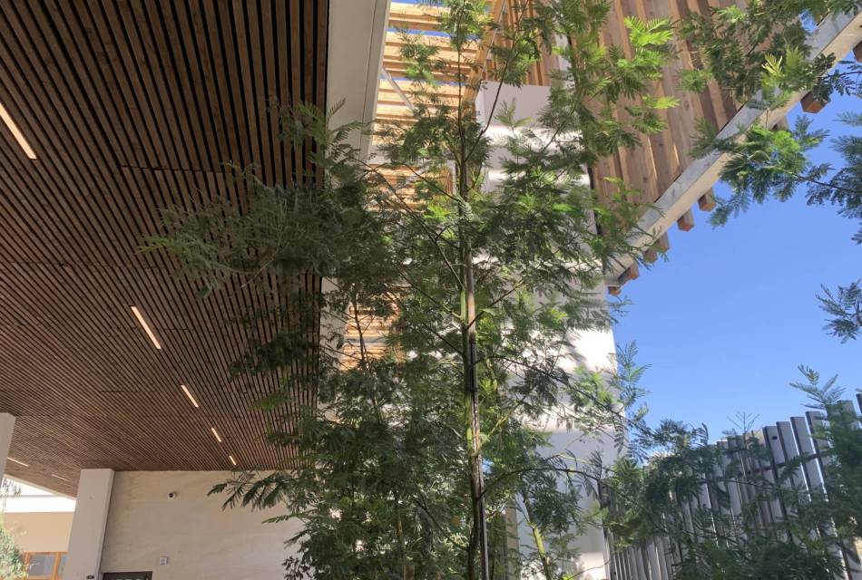 College Secteur Cazemajou-Marseille